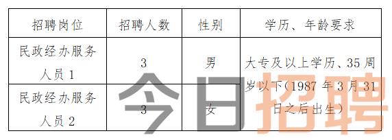 开远市民政局招聘启事，最新职位空缺及申请要求