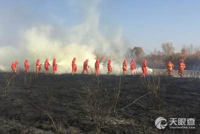 石羊河林业总场红崖山分场新领导团队引领下的崭新气象